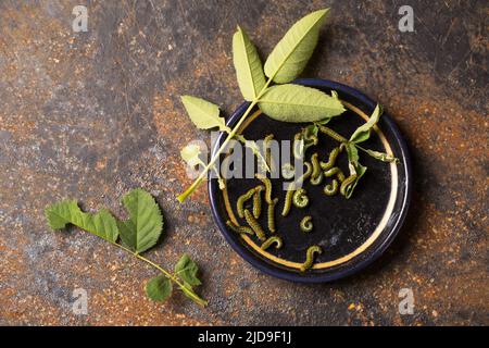 Les chenilles vertes sont des ravageurs sur les plantes dans un jardin biologique Banque D'Images