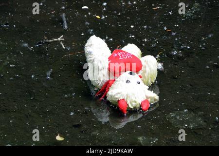 Hot stuff diable ours en peluche laissé abandonné dans les hilades au bord de la rivière Wensum à Norwich, Norfolk, Royaume-Uni Banque D'Images