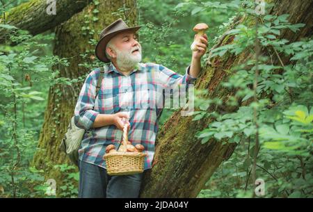 Grand-père heureux - été et passe-temps. Vieux marcheur. Grand-père pensionné. Randonnée senior en forêt. Homme heureux tenant un champignon fraîchement cueilli. Banque D'Images