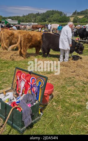 Agriculteurs, visiteurs et juges au salon agricole annuel du comté d'Aberystwyth et de Ceredigion, Aberystwyth, pays de Galles, Royaume-Uni Banque D'Images