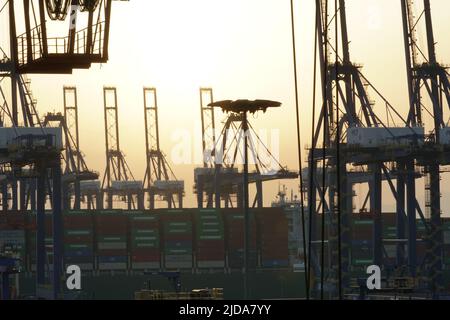 Vue sur la silhouette de la haute construction de grandes grues portiques en position horizontale attendant l'opération de cargaison des navires-conteneurs dans le port du Pirée Banque D'Images