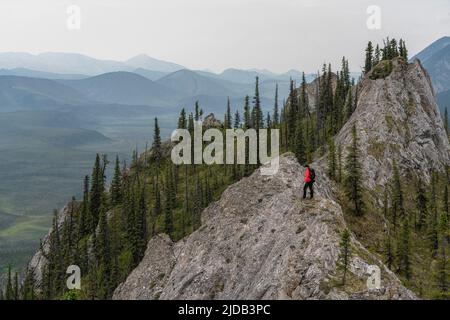 Femme avec un bâton de marche debout sur les crêtes de Sapper Hill le long de la Dempster Highway, en regardant les vues sur la montagne; Yukon, Canada Banque D'Images