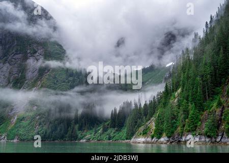 Une journée brumeuse à Tracy Arm, Fords Terror/Tracy Arm Wilderness, la forêt nationale de Tongass, la forêt pluviale tempérée de l'Alaska Banque D'Images