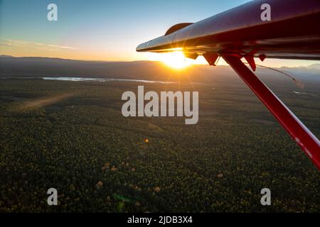 Gros plan de l'aile d'un avion de Havilland Otter survolant le Bush au coucher du soleil; Alaska, États-Unis d'Amérique Banque D'Images