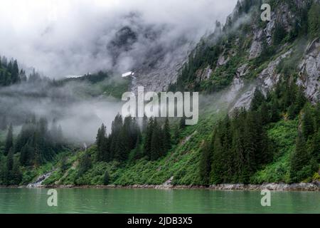 Une journée brumeuse à Tracy Arm, Fords Terror/Tracy Arm Wilderness, la forêt nationale de Tongass, la forêt pluviale tempérée de l'Alaska Banque D'Images