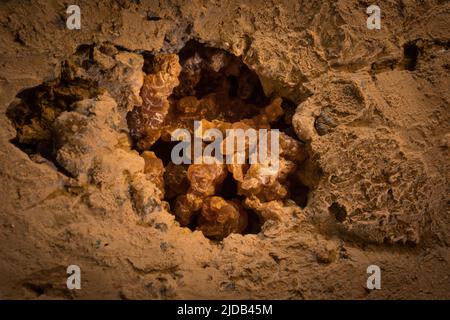 Nettoyez les cristaux de calcite cryogénique dans le trou d'égouttement sur le plancher de la grotte d'argile. Gouttes tombant d'environ 15 M a fait ce trou et exposé la calcite, Oural M... Banque D'Images