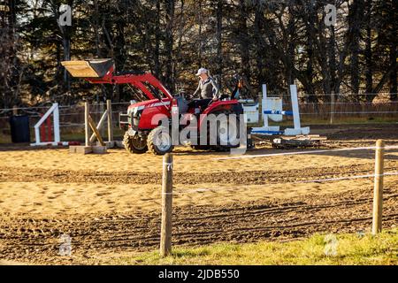 Une femme toilettant un corral en préparation pour des séances d'entraînement de chevaux à l'aide d'un râteau de corral ; Westlock, Alberta, Canada Banque D'Images