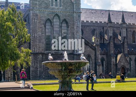 Dublin, Irlande - 1 juin 2022 : la cathédrale Saint-Patrick, la cathédrale nationale de l'Eglise d'Irlande. Banque D'Images