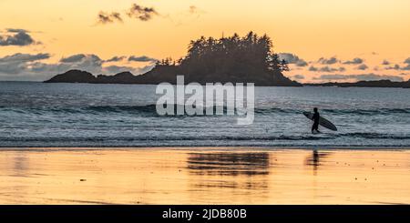 Un surfeur transporte sa planche de surf dans la destination populaire de surf de Chesterman Beach, dans le Pacifique de l'île de Vancouver Banque D'Images