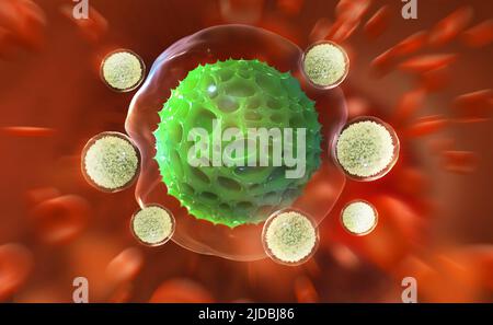 Les leucocytes attaquent le virus. Immunité du corps. Lutte contre la pneumonie. 3D illustration de la recherche médicale Banque D'Images