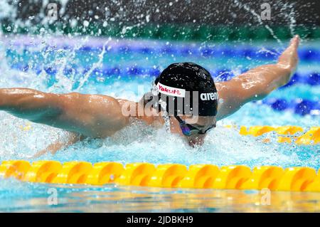 Daiya Sito (JPN) est en compétition dans les hommes 400m medley individuels lors des Championnats du monde de la FINA 19th sur 18 juin 2022 à la Duna Arena à Budapest, Hongrie crédit: SCS/Soenar Chamid/AFLO/Alay Live News Banque D'Images