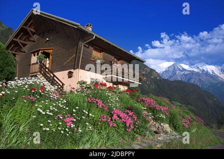 France, haute-Savoie Cottage fleuri, massif du Mont blanc Banque D'Images