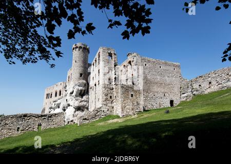 Ruines du château d'Ogrodzieniec en Pologne Banque D'Images