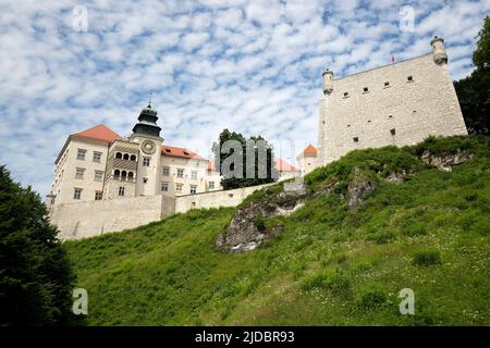 Château de Pieskowa Skala sur la colline en Pologne Banque D'Images