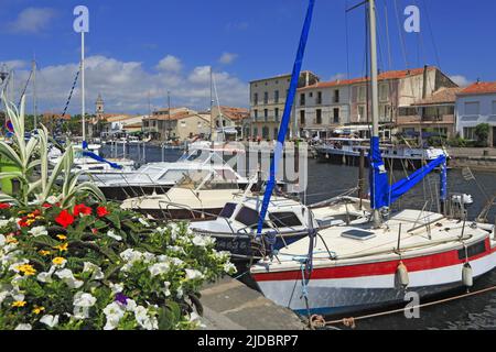 France, Hérault, Marseillan, ville portuaire méditerranéenne, située sur les rives du lagon de Thau, vue depuis le port de plaisance au coeur du village Banque D'Images