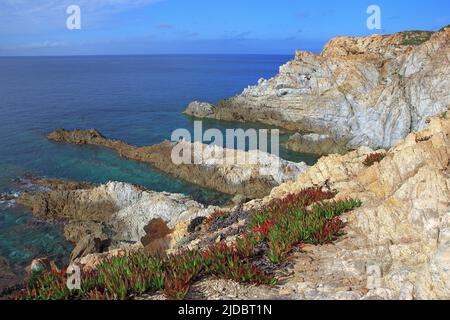 France, Corse Golfe de Calvi, Pointe de la Revellata Banque D'Images