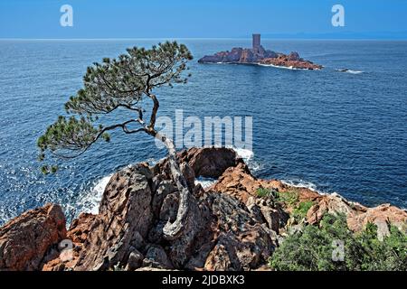 France, Var (83) Saint Raphaël, le Dramont, le Cap Dramont et l'Ile d'Or Banque D'Images