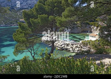 France, Bouches-du-Rhône, Marseille, Calanque de Sormiou, Parc National des Calanques Banque D'Images