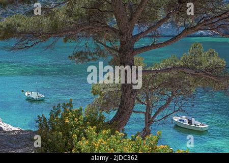 France, Bouches-du-Rhône, Marseille, Calanque de Sormiou, Parc National des Calanques Banque D'Images