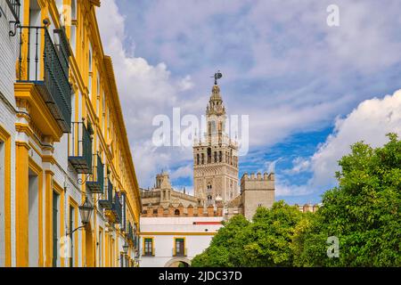 Le clocher de la Giralda vue depuis une jolie rue près de la cathédrale de Séville, en Espagne Banque D'Images