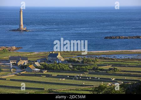 France, Cotentin Auderville, phare de la Haye et port Goury Banque D'Images