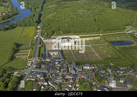 France, Indre-et-Loire, Villandry les jardins du château (vue aérienne) Banque D'Images