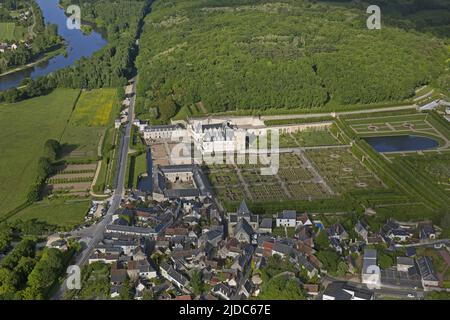 France, Indre-et-Loire, Villandry les jardins du château (vue aérienne) Banque D'Images