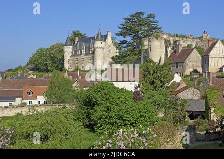 France, Indre-et-Loire Montrésor, village classé Banque D'Images
