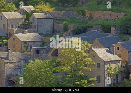 France, Lozère Gorges du Tarn, habitat en pierre Banque D'Images