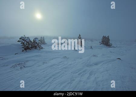 France, Lozère Mont Lozère en hiver recouvert de neige, le soleil à travers le brouillard Banque D'Images