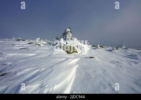 France, Lozère Mont Lozère en hiver recouvert de neige Banque D'Images