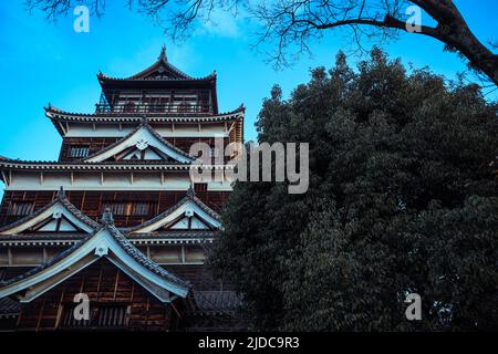 Château de Carp noir à Hiroshima, Japon Banque D'Images