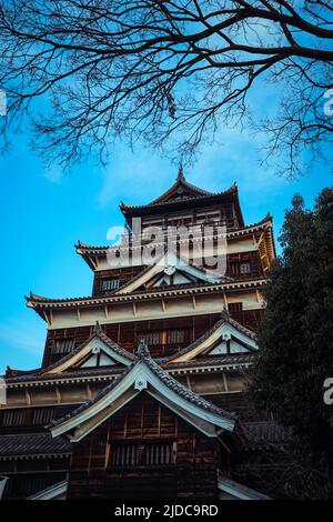 Château de Carp noir à Hiroshima, Japon Banque D'Images