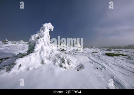 France, Lozère Mont Lozère en hiver recouvert de neige Banque D'Images