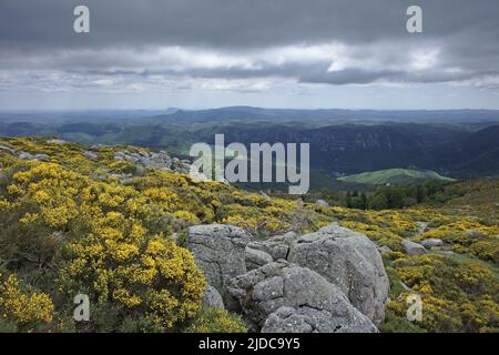 France, Gard (30), Cévennes, massif de l'Aigoual, Saint-Guiral, Vallée de l'Arre Banque D'Images