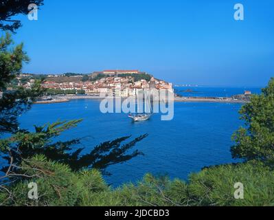 France, Pyrénées-Orientales (66) Collioure, l'église notre-Dame des Anges, la baie avec voilier Banque D'Images