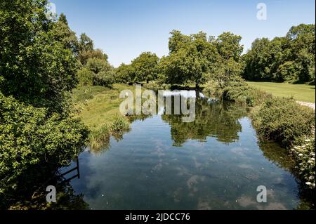 Vue sur la rivière Itchen à Ovington, Hampshire, Royaume-Uni, par une belle journée ensoleillée. Banque D'Images