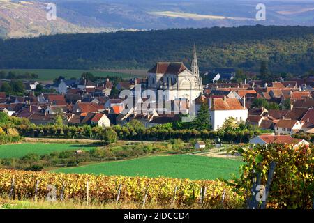 France, Yonne, Coulanges-la-Vineuse village Bourgogne vignobles AOC Bourgogne Coulanges-la vineuse Banque D'Images