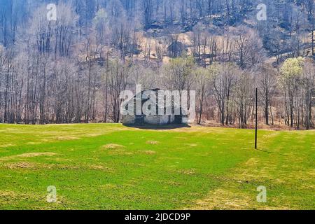 L'herbe de printemps verte sur le pâturage en face de l'ancienne grange en pierre de Mora di Fuori, Valle Verzasca, Suisse Banque D'Images