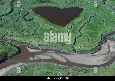 France, Baie de la somme estuaire de la somme étiqueté naturel, club des plus belles baies du monde (vue aérienne) Banque D'Images