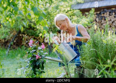 Bonne femme senior prenant soin des fleurs à l'extérieur dans le jardin, arroser avec la CAN. Banque D'Images