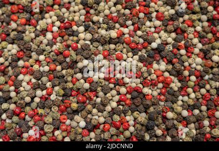 Mélange de graines de poivre noir rouge et blanc Banque D'Images