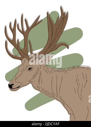 Dessin à la main de la tête de cerf avec des cornes, portrait d'animal sauvage sur l'illustration abstraite du vecteur de fond de gribouillage Illustration de Vecteur