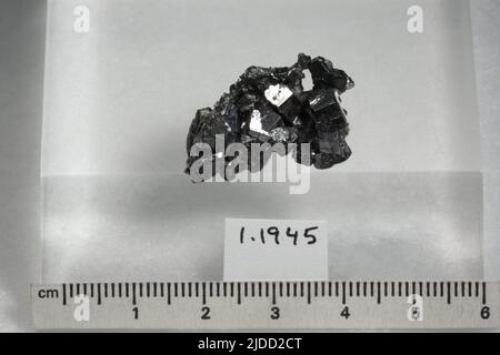 Stephanite. Minéraux. Europe, Allemagne, Saxe, Freiberg Banque D'Images