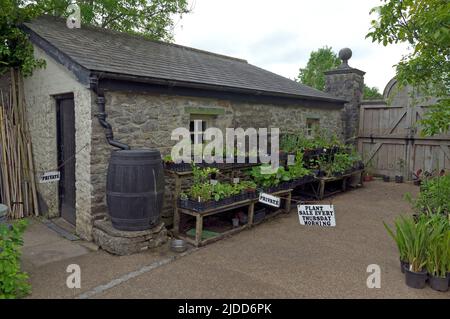 Jardin physique primé, Cowbridge près de Cardiff juin 2022 Banque D'Images