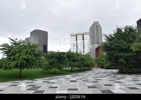 Centre-ville Louis avec la célèbre Gateway Arch le long du fleuve Mississippi Banque D'Images