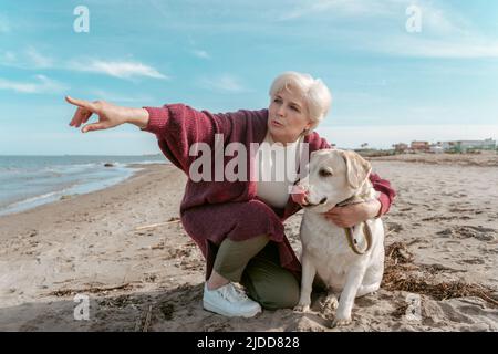 Femme aux cheveux gris concentrée qui forme le Labrador Retriever sur la plage Banque D'Images