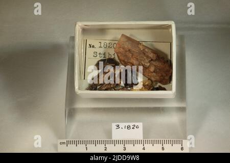 Minéraux de Stibiotantalite. Amérique du Nord ; États-Unis ; Californie ; Comté de San Diego ; Mesa Grande Banque D'Images
