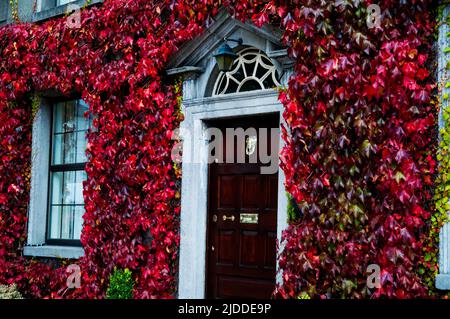 Fanlight géorgien à Kells, Irlande. Banque D'Images