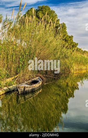 Vue panoramique sur un canal d'eau, Parc naturel d'Albufera, Valence, Communauté Valencienne, Espagne Banque D'Images